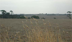 Unit 124 image c