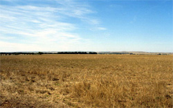 Unit 125 image a