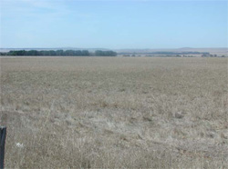 Unit 125 image b
