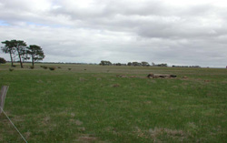Unit 126 image a