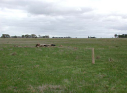 Unit 126 image b