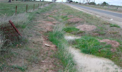 Unit 126 image c