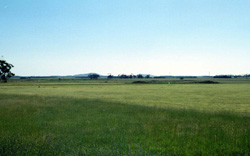 Unit 127 image a
