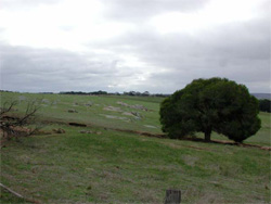 Unit 128 image b