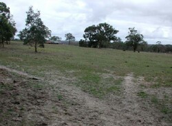 Unit 12 image b