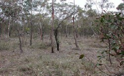 Unit 12 image c