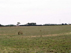 Unit 131 image b