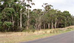 Unit 131 image c