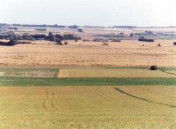 Unit 133 image b