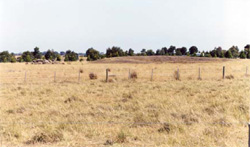 Unit 133 image c
