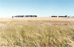 Unit 134 image a