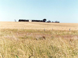 Unit 134 image b