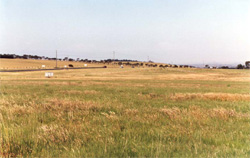 Unit 135 image a