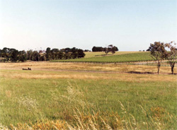 Unit 135 image b
