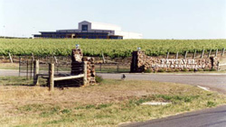 Unit 135 image c