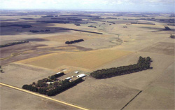 Unit 136 image a