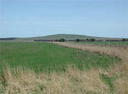 Unit 136 image b
