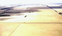 Unit 136 image c