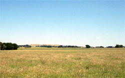 Unit 137 image a