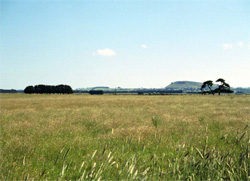 Unit 137 image b