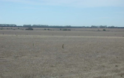 Unit 138 image a