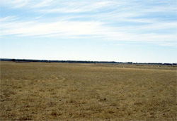 Unit 138 image b