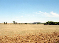 Unit 139 image b