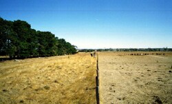 Unit 13 image c