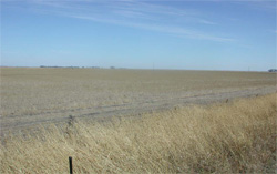 Unit 140 image a