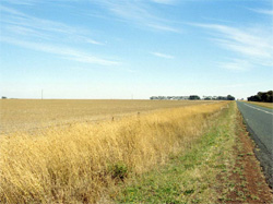 Unit 140 image b
