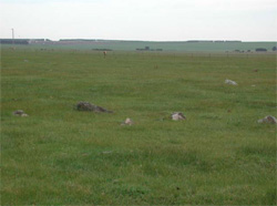 Unit 141 image b