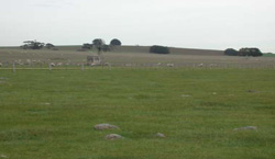 Unit 141 image c