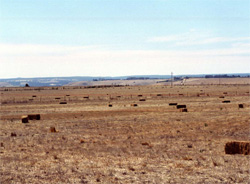 Unit 142 image b