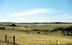 Unit 143 image a