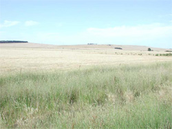 Unit 143 image b
