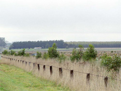 Unit 144 image b