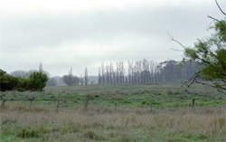 Unit 145 image a
