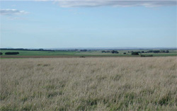 Unit 146 image a