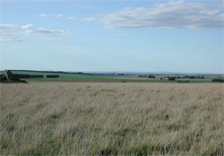 Unit 146 image b