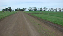 Unit 147 image c