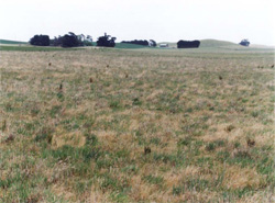 Unit 148 image b