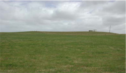 Unit 148 image c