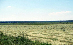 Unit 149 image a