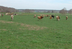 Unit 149 image b