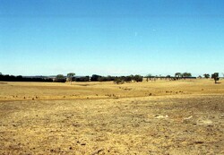 Unit 14 image b