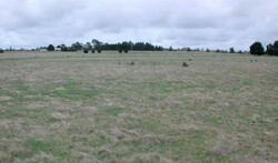Unit 14 image c