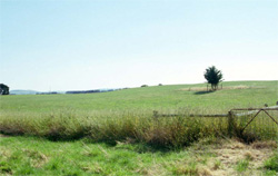 Unit 150 image a