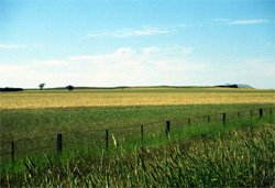 Unit 150 image b