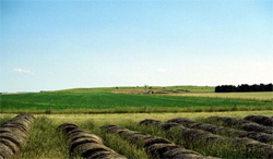 Unit 150 image c