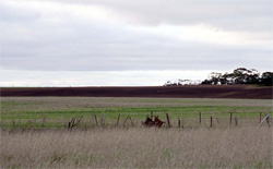 Unit 151 image a